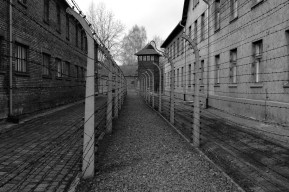 KZ Auschwitz – 432 Marian Kołodziej