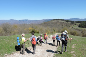 Verso Montecuccoli