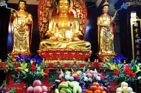 Visite guidate al Tempio Buddista