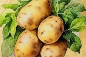 Patate