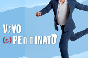 Vittorio Pettinato in "VIVO (s)PETTINATO"