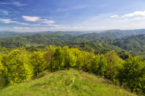Mountain Trek