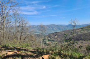 Migliana