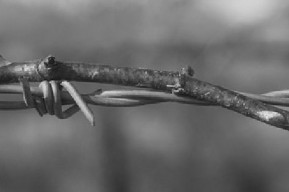 Giornata della Memoria 2026