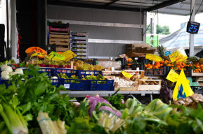Pianeta Verde - Mercato bio e di filiera corta
