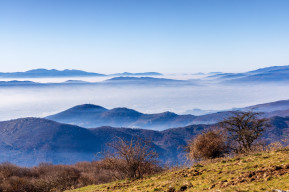 monte maggiore calvana