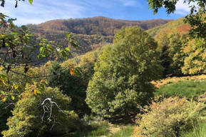 La via dei Faggi. Da Schignano ai Faggi di Javello